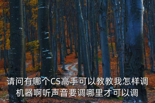 请问有哪个CS高手可以教教我怎样调机器啊听声音要调哪里才可以调