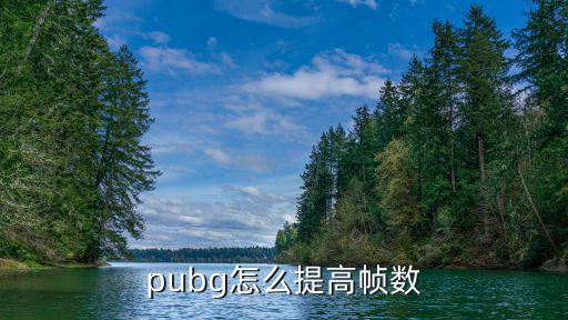 手游pubg帧率怎么提高，pubg怎么提高帧数