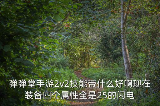 弹弹堂手游2v2技能带什么好啊现在装备四个属性全是25的闪电