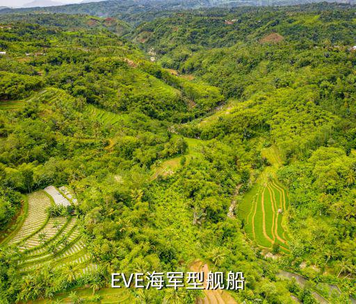 EVE手游海军启示怎么样，EVE海军型舰船