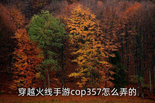 穿越火线手游cop357怎么弄的