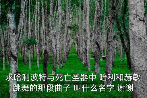 求哈利波特与死亡圣器中 哈利和赫敏跳舞的那段曲子 叫什么名字 谢谢