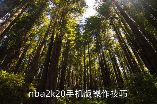 nba2k20手机版操作技巧