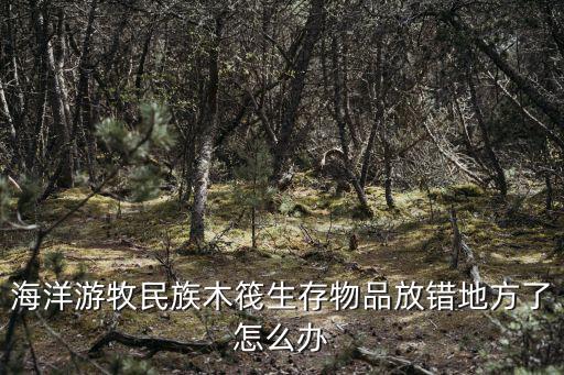 海洋游牧民族木筏生存物品放错地方了怎么办