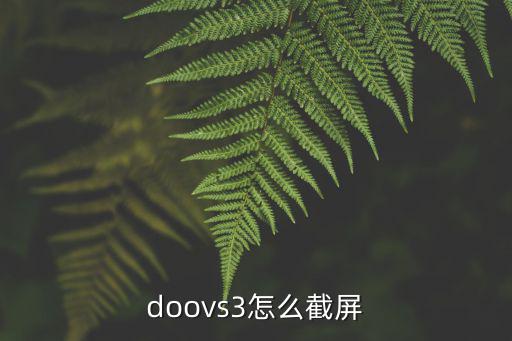 doovs3怎么截屏