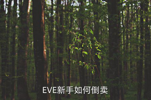 EVE新手如何倒卖