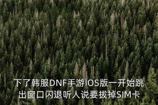 韩服dnf手游苹果版怎么充值，地下城与勇士韩服里面怎么充值点券