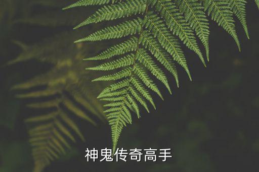 神鬼传奇高手