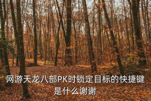 手游天龙八部pk怎么锁定目标，网游天龙八部PK时锁定目标的快捷键是什么谢谢