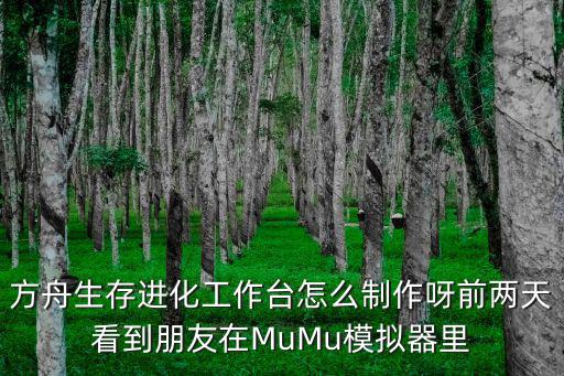 方舟生存进化工作台怎么制作呀前两天看到朋友在MuMu模拟器里