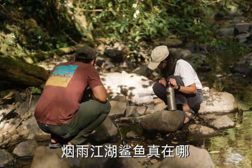 烟雨江湖鲨鱼真在哪