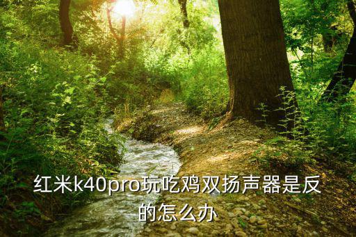 红米k40pro玩吃鸡双扬声器是反的怎么办