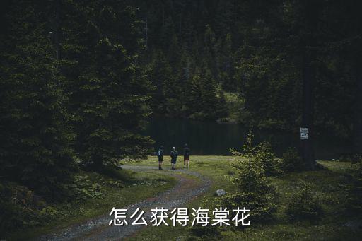 怎么获得海棠花