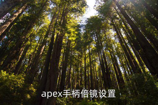 apex手柄倍镜设置