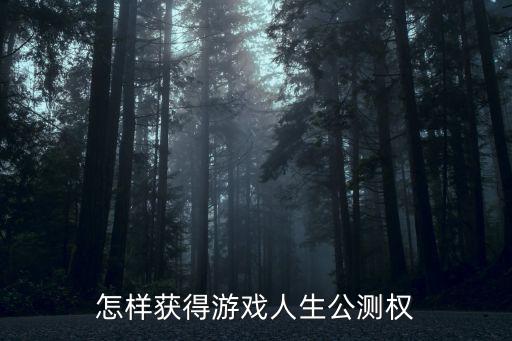 怎样获得游戏人生公测权