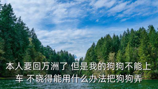 本人要回万洲了 但是我的狗狗不能上车 不晓得能用什么办法把狗狗弄