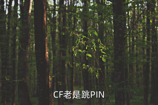 CF老是跳PIN