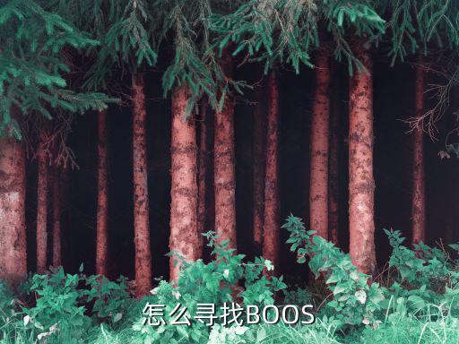 怎么寻找BOOS