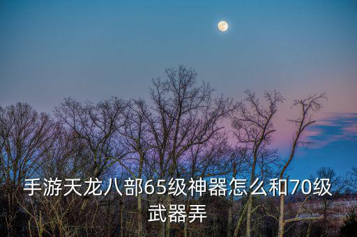 手游天龙八部65级神器怎么和70级武器弄