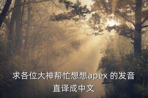 求各位大神帮忙想想apex 的发音直译成中文