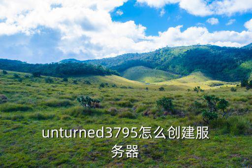 unturned3795怎么创建服务器