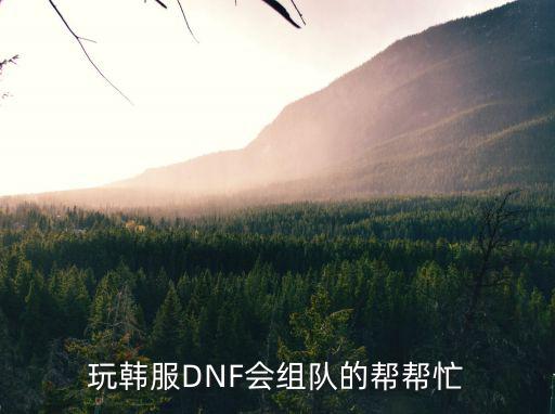 手游dnf韩服搬砖怎么组野团，玩韩服DNF会组队的帮帮忙