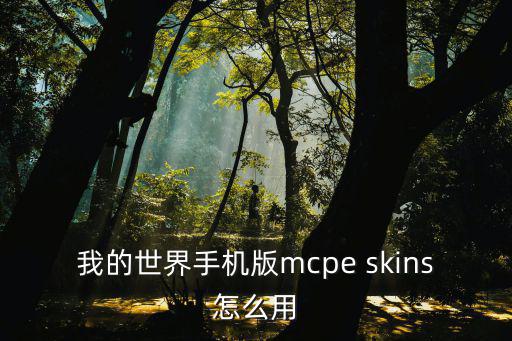 我的世界手游绘画大师怎么用，我的世界手机版mcpe skins怎么用