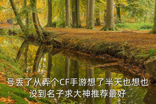 cf手游菜鸟一号怎么样，CF游戏名叫菜 鸟好不好