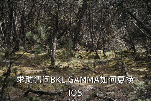 英雄联盟手游怎么换新区ios，求助请问BKL GAMMA如何更换IOS