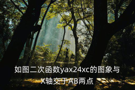 codm手游krm262怎么配，我的诺基亚e63是水货去客服查询是非保我想问问非保是什么意思