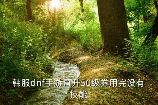 韩服dnf手游直升50级券用完没有技能