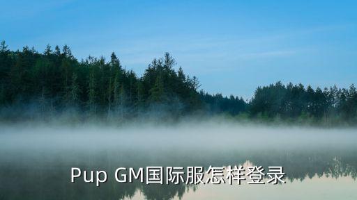 Pup GM国际服怎样登录