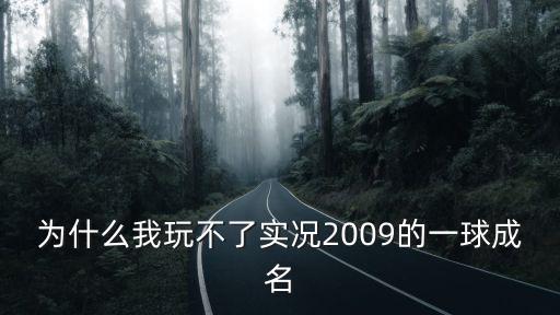 为什么我玩不了实况2009的一球成名