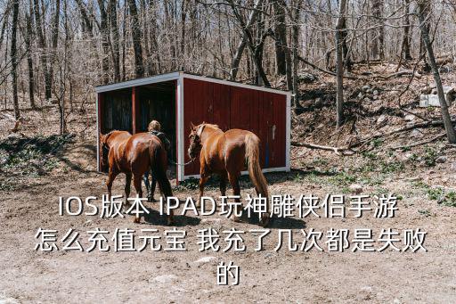 IOS版本 IPAD玩神雕侠侣手游 怎么充值元宝 我充了几次都是失败的