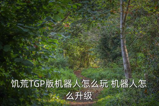 饥荒TGP版机器人怎么玩 机器人怎么升级