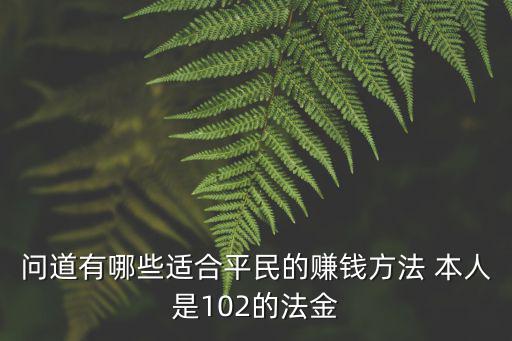 问道有哪些适合平民的赚钱方法 本人是102的法金