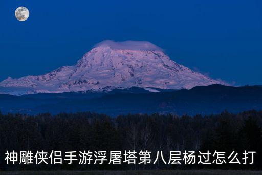 神雕侠侣手游浮屠塔第八层杨过怎么打