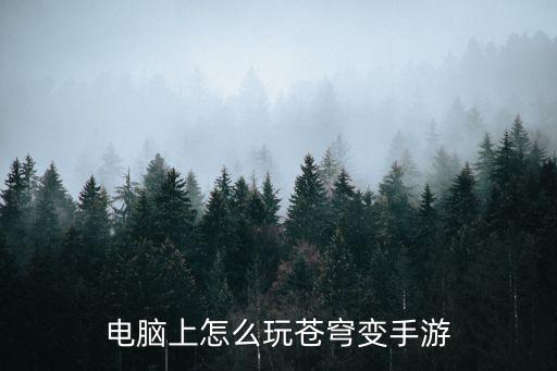 电脑上怎么玩苍穹变手游