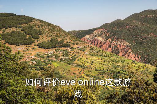 如何评价eve online这款游戏