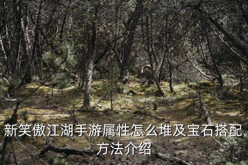 新笑傲江湖手游属性怎么堆及宝石搭配方法介绍