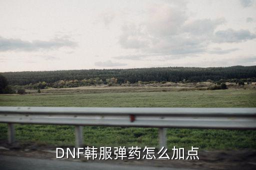 DNF韩服弹药怎么加点