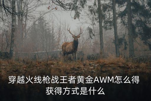 穿越火线枪战王者黄金AWM怎么得 获得方式是什么