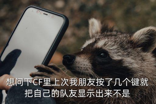 想问下CF里上次我朋友按了几个键就把自己的队友显示出来不是