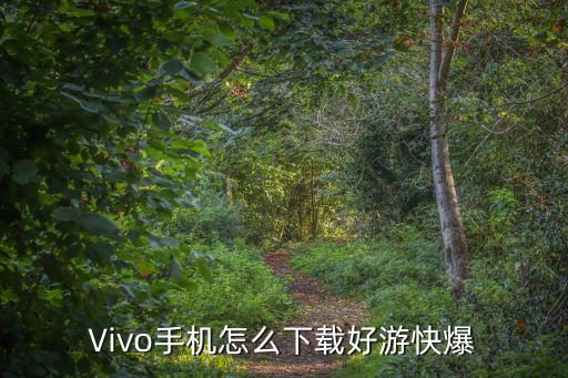 Vivo手机怎么下载好游快爆