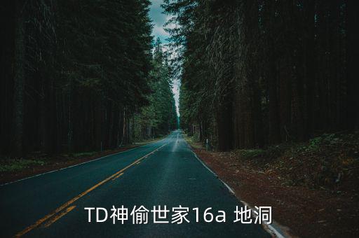 TD神偷世家16a 地洞