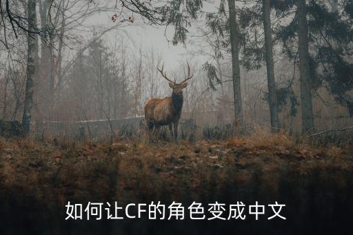 穿越火线手游怎么改成中文，怎么把穿越火线调成汉语