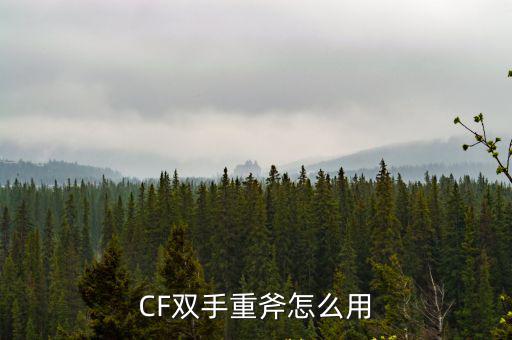 CF双手重斧怎么用