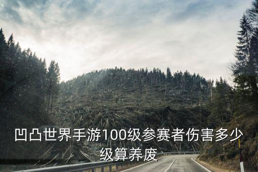 凹凸世界手游100级参赛者伤害多少级算养废