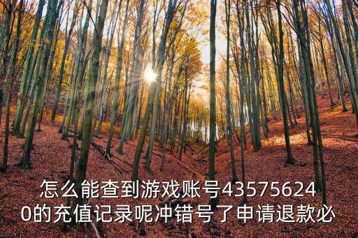 怎么能查到游戏账号435756240的充值记录呢冲错号了申请退款必