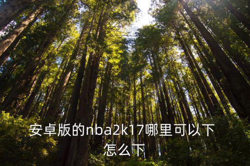 nba2k01手游安卓怎么下，安卓版的nba2k17哪里可以下 怎么下